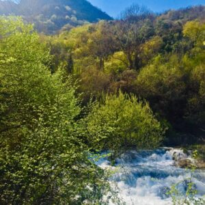 Seminar vom 23.7.-28.7.2026