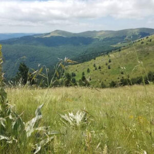 Verbinde Dich mit der wahren natur