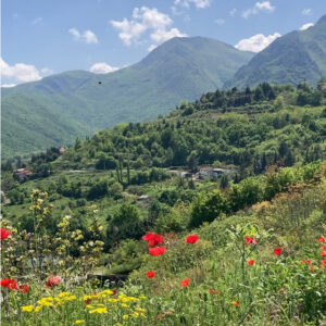 Seminar vom 20.5.-25.5.2026